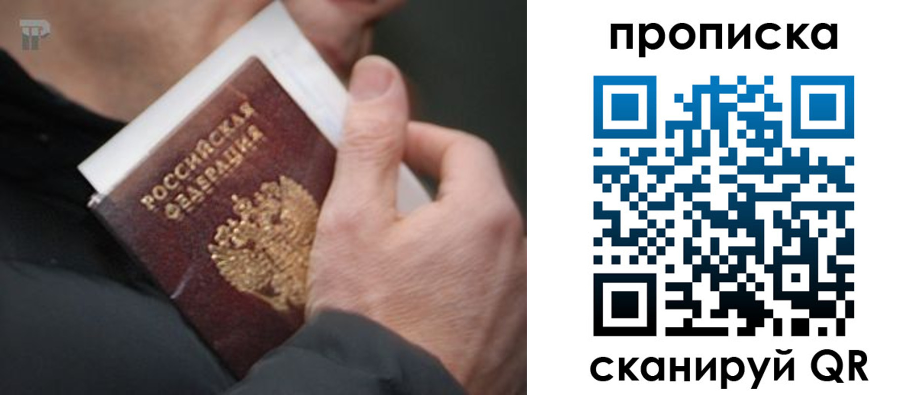 временная регистрация гарантия в Энгельсе